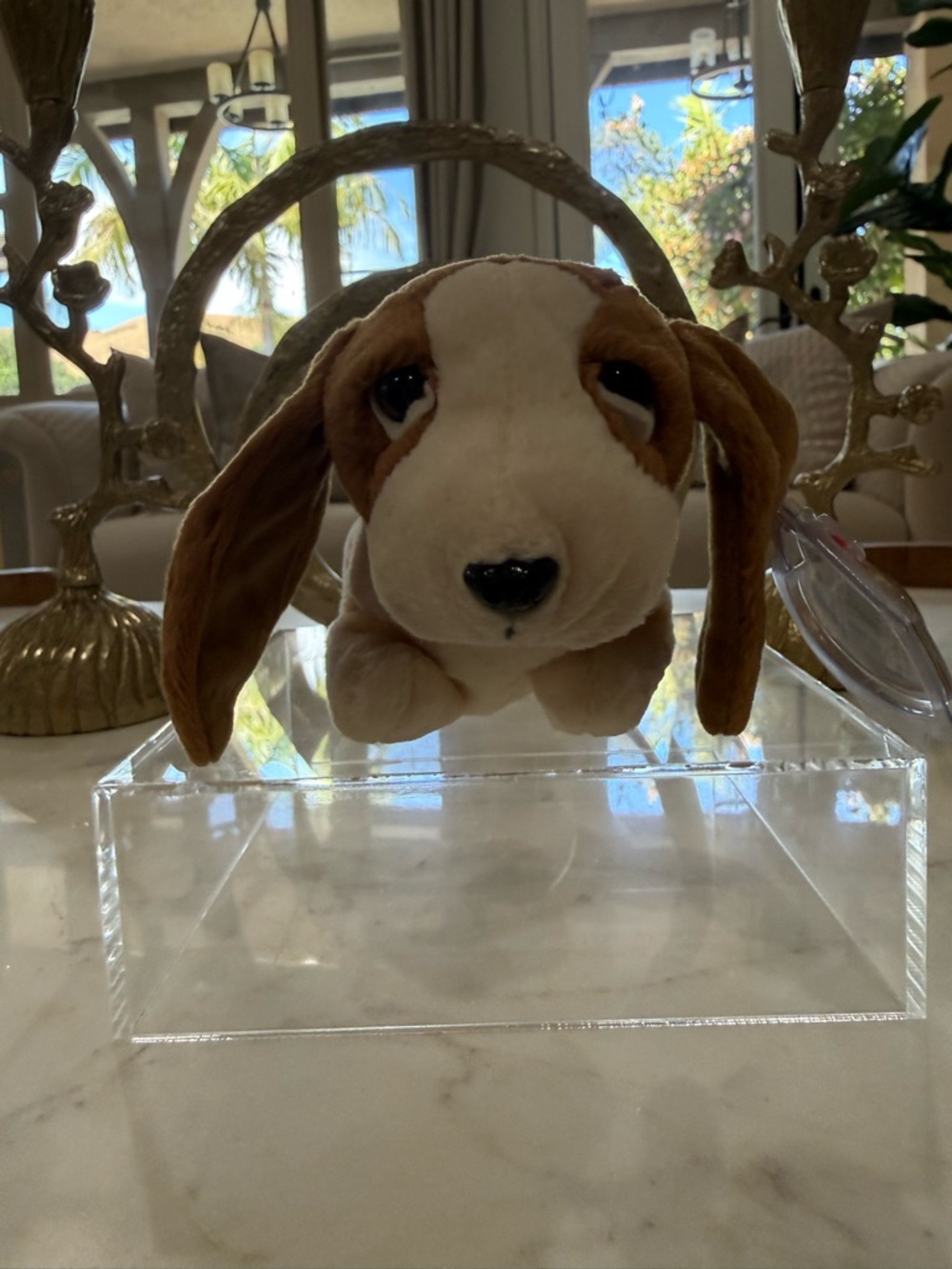 Ty Brown and White Dog Beanie Boo Plush - Picture 8 of 8